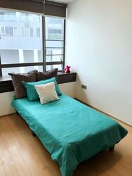 Skysuites@Anson (D2), Apartment #533934571